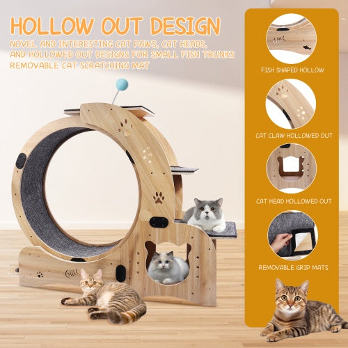 AuraPlay™ Velocity 6 | Premium Feline Gym – High-Performance Running Wheel with Integrated Play & Rest Zones