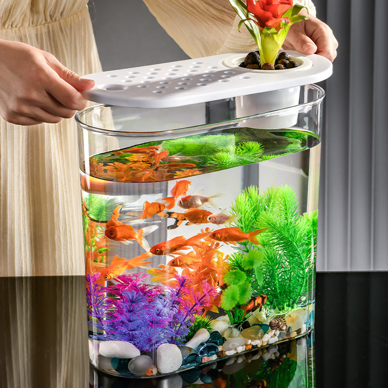 EliteView™ | Transparent Nano-Incubator - High-Clarity Ecological Fish Habitat