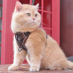 AuraGuard™ Soft-Hug | Breathable Pet Chest Strap with Reinforced Leash – 360° Safety Vest for Active Cats & Kittens