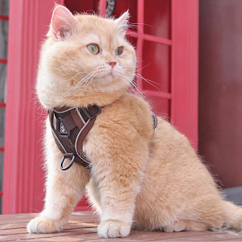 AuraGuard™ Soft-Hug | Breathable Pet Chest Strap with Reinforced Leash – 360° Safety Vest for Active Cats & Kittens