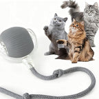 EliteGlide™ | Intelligent Sensor-Driven Cat Toy - Rechargeable Electric Fitness Ball