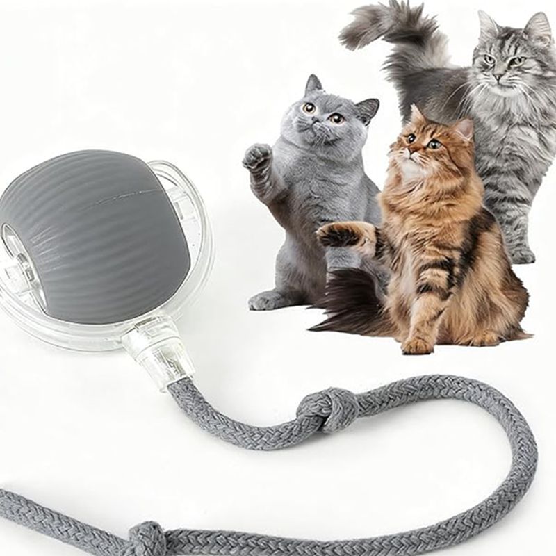 EliteGlide™ | Intelligent Sensor-Driven Cat Toy - Rechargeable Electric Fitness Ball