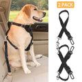 Dog wearing a black harness in a car with a close-up of the harness on a white background.