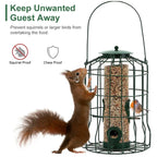 EliteSong™ | Heavy-Duty Outdoor Wild Bird Feeder - Iron-Clad Protection for Songbirds