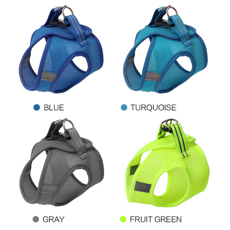 EliteSecure™ | Zero-Pressure Cat Harness - Professional Anti-Strike Walking Gear