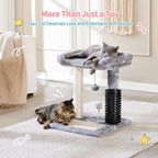 EliteKitten™ Oasis | Small Multipurpose Cat Tree - Plush Perch with Massage Arch & Play Ball