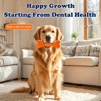 AuraGrind™ Titan Stick | Triple-Action Teeth Cleaning Chew Bone – Safe & Durable Dental Defense for Puppies to Large Dogs