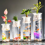 EliteEco™ | Transparent Nano-Landscape Pot - Modern Living Room Aquatic Decoration