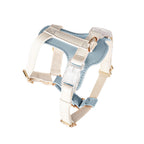 EliteSafe™ | Escape-Proof Mesh Harness - All-Day Comfort Walking Set with Heavy-Duty Leash