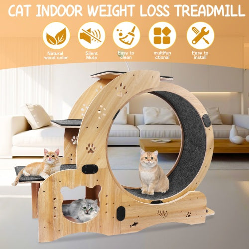 AuraPlay™ Velocity 6 | Premium Feline Gym – High-Performance Running Wheel with Integrated Play & Rest Zones