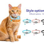 ScanFind™ | 24/7 Global Access QR Tracking Collar