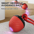 EliteAction™ | Multi-Surface Moving Pet Ball - USB Rechargeable Interactive Hunter