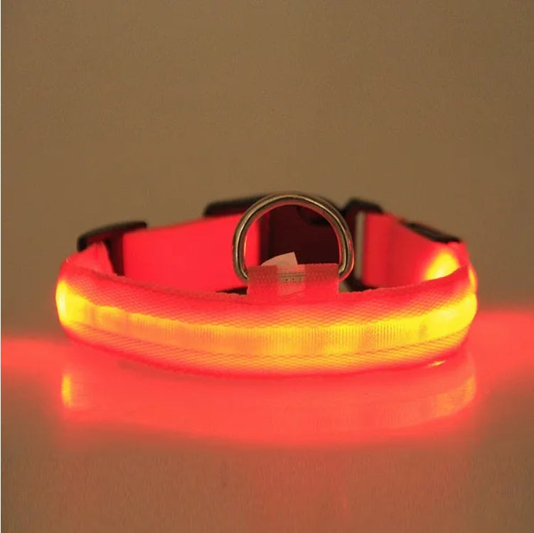 NightViz™ | Ultra-Bright Rechargeable Safety Halo