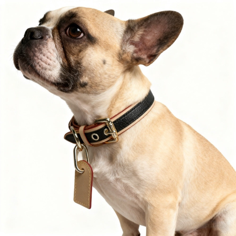 AuraStyle™ Kawaii-Luxe | Artisan Pet Outfit Collar – Soft-Touch Boutique Neckpiece Inspired by Asian Pet Fashion