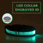 EliteLume™ | Night-Safety Radium Dog Collar - Custom Carved ID & High-Visibility