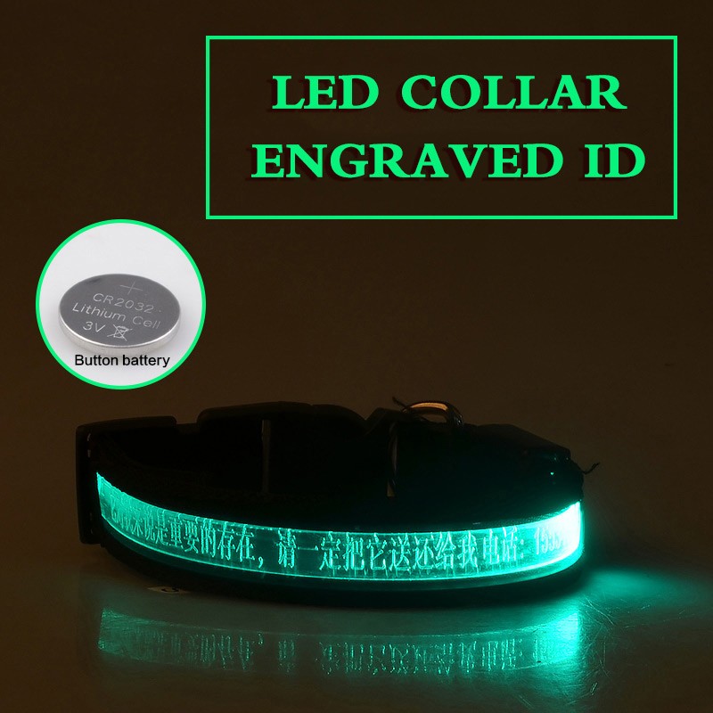 EliteLume™ | Night-Safety Radium Dog Collar - Custom Carved ID & High-Visibility