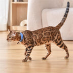 EliteBeam™ | Intelligent Laser Neck Toy - USB Rechargeable Active Exercise Collar