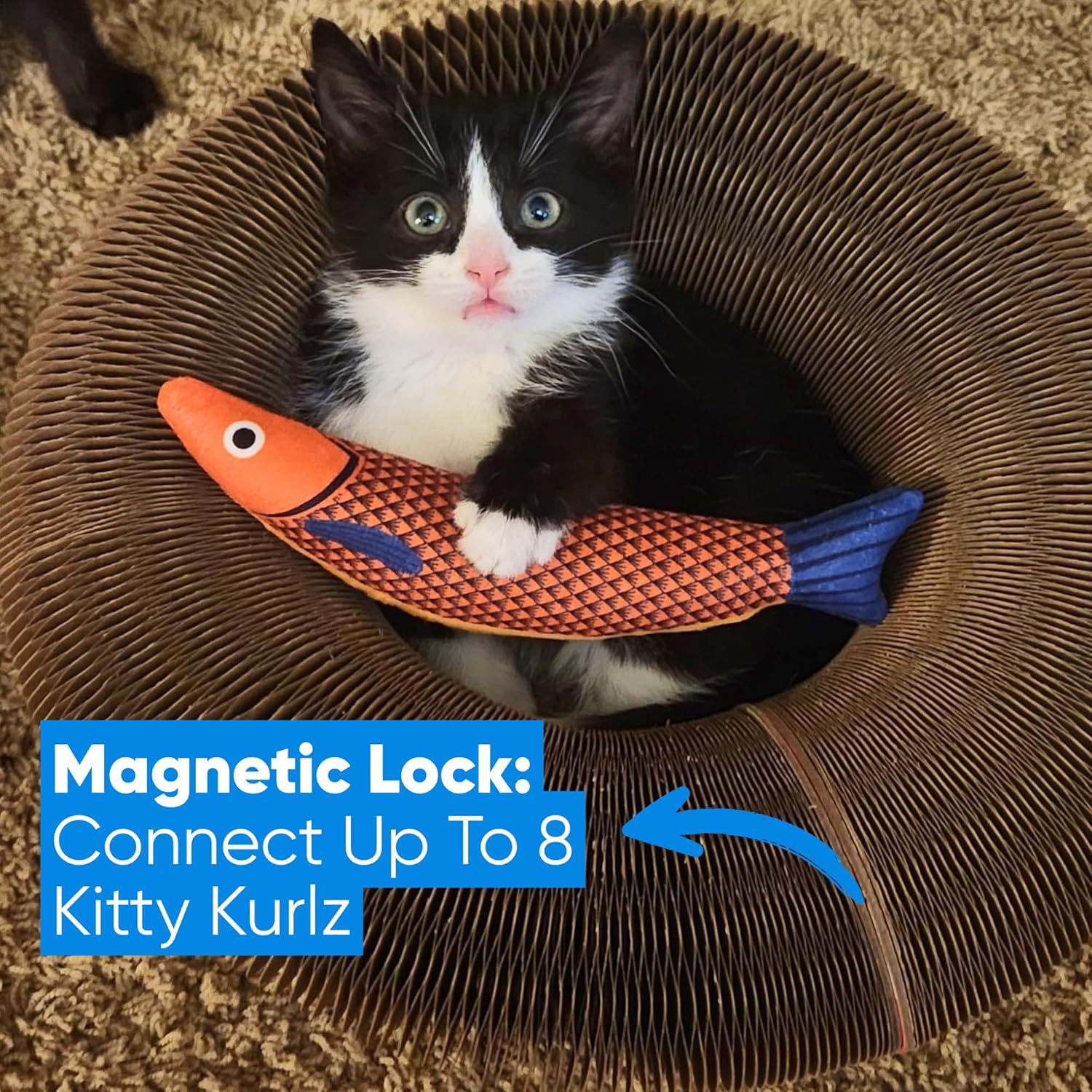 AuraPlay™ Infinity Loop | Magnetic Foldable Scratching Post – 3-in-1 Kinetic Toy & Corrugated Lounge for Indoor Cats
