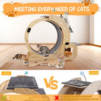 AuraPlay™ Velocity 6 | Premium Feline Gym – High-Performance Running Wheel with Integrated Play & Rest Zones