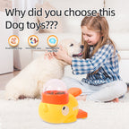 EliteBrain™ | Cartoon Duck Puzzle Toy - Mental Stimulation & Slow Feeding Station