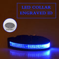 EliteLume™ | Night-Safety Radium Dog Collar - Custom Carved ID & High-Visibility