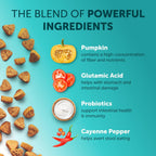 BioBalance™ | Multi - Strain Intestinal Health & Immunity Boost - Aura Pet Elite