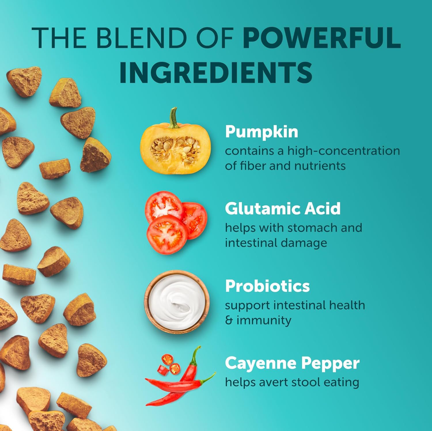 BioBalance™ | Multi - Strain Intestinal Health & Immunity Boost - Aura Pet Elite