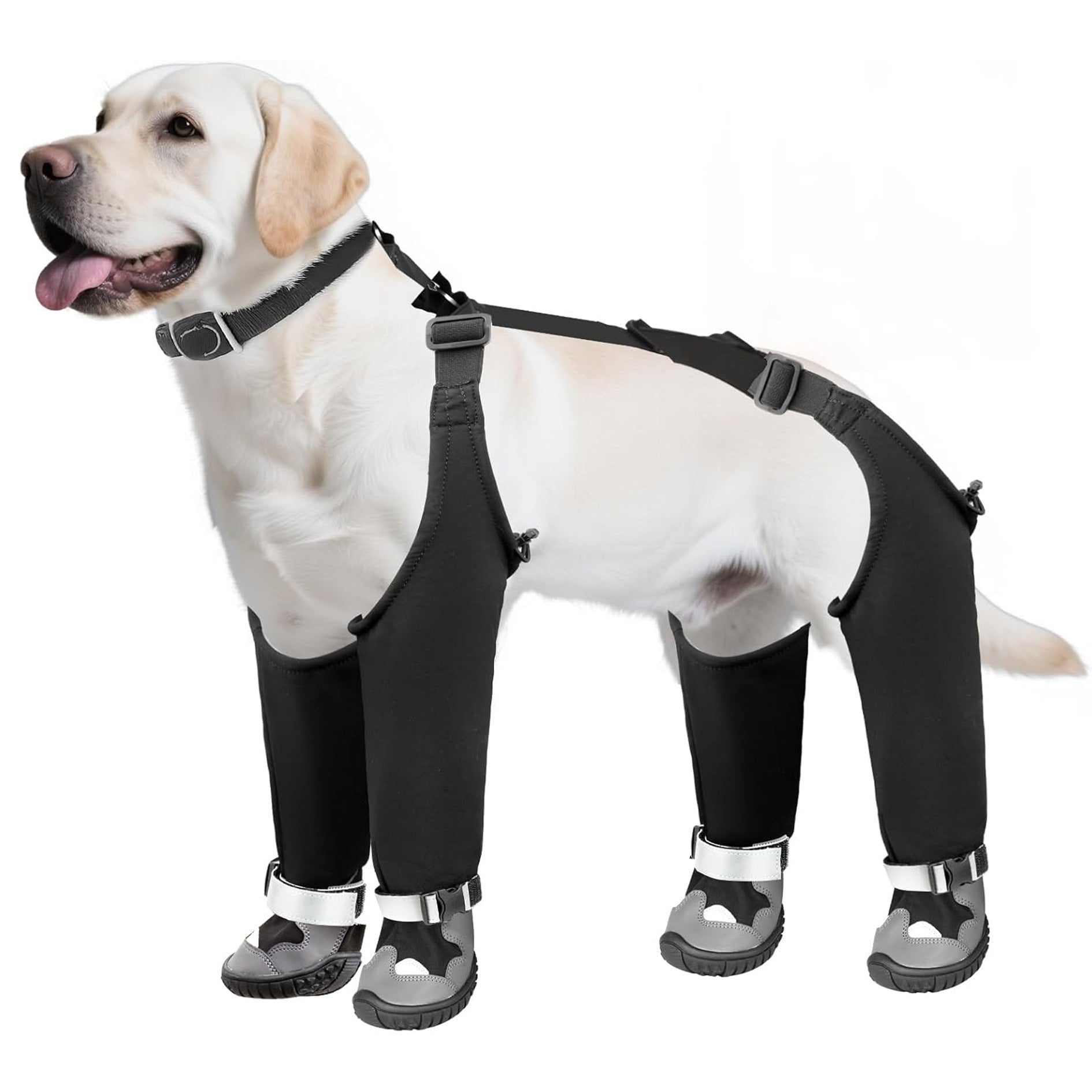 EliteGuard™ | Rugged Outdoor Dog Footwear - Cold-Resistant & Anti-Slip Snow Boots