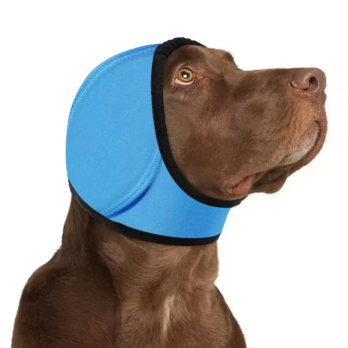 AuraGuard™ Storm-Cap | All-Weather Waterproof Head Cover – Insulated Ear Protector for Rain, Swim & Winter Comfort