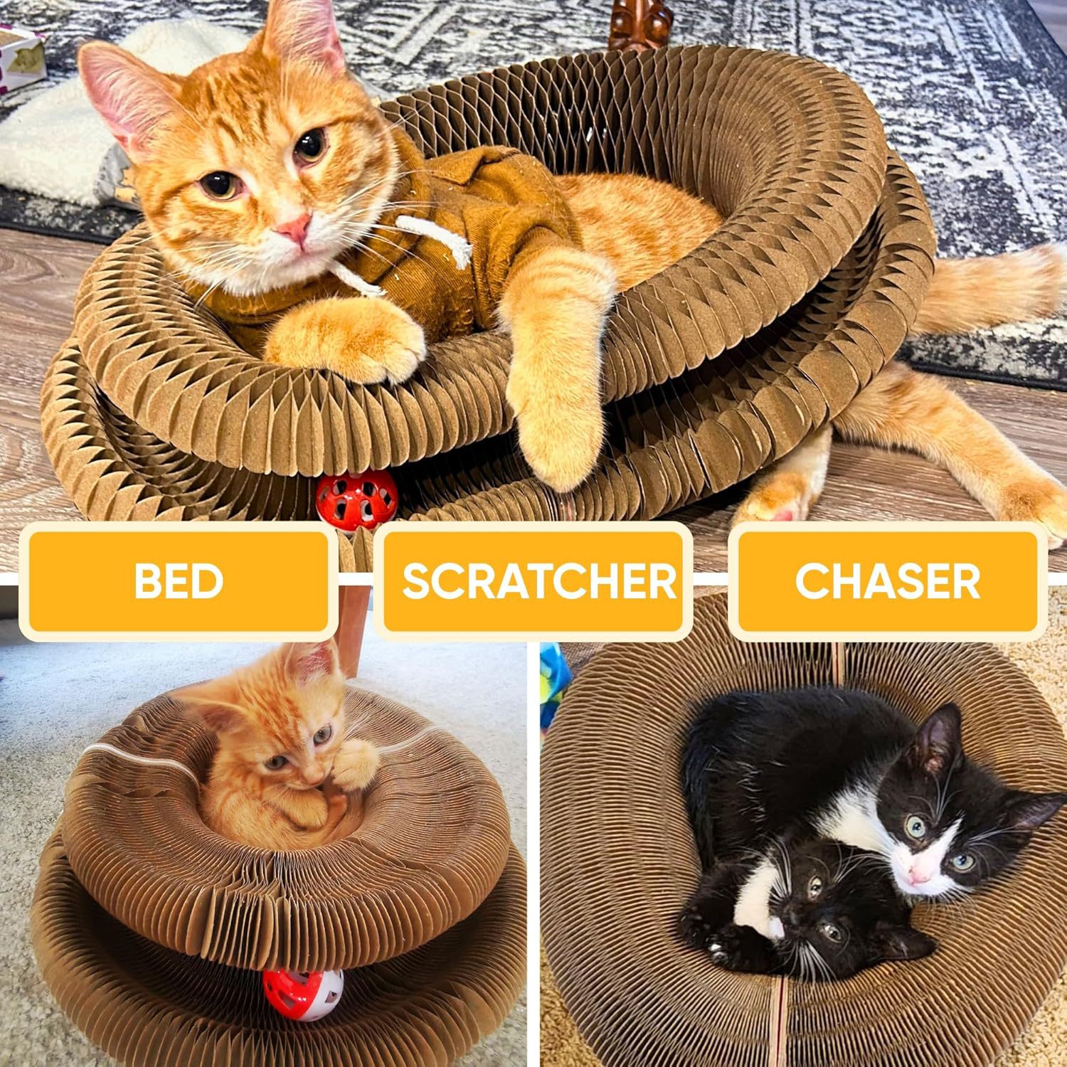 AuraPlay™ Infinity Loop | Magnetic Foldable Scratching Post – 3-in-1 Kinetic Toy & Corrugated Lounge for Indoor Cats