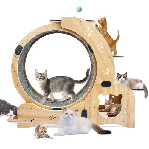 AuraPlay™ Velocity 6 | Premium Feline Gym – High-Performance Running Wheel with Integrated Play & Rest Zones