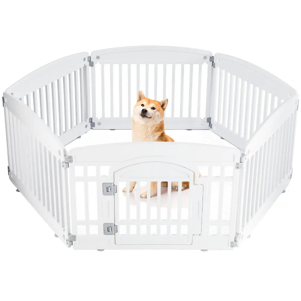Dog inside a white pet playpen on a white background