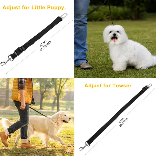 Dog leash with adjustable length shown in use with two dogs and a person.