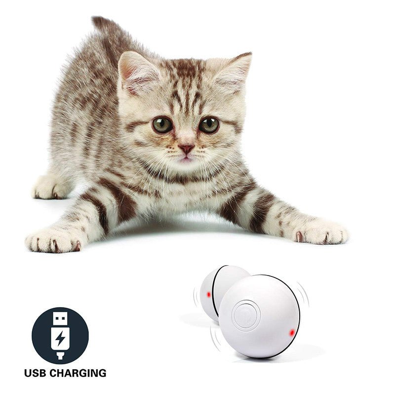 CyberChase™ | Interactive Motion - Sensing Laser Ball - Aura Pet Elite