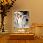 EliteHonor™ | Bespoke Pet Memorial Plaque - Eternal Tribute with Photo & Custom Date