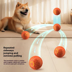 EliteActive™ | Self-Moving Dog Teasing Ball - Durable Glowing Training Toy