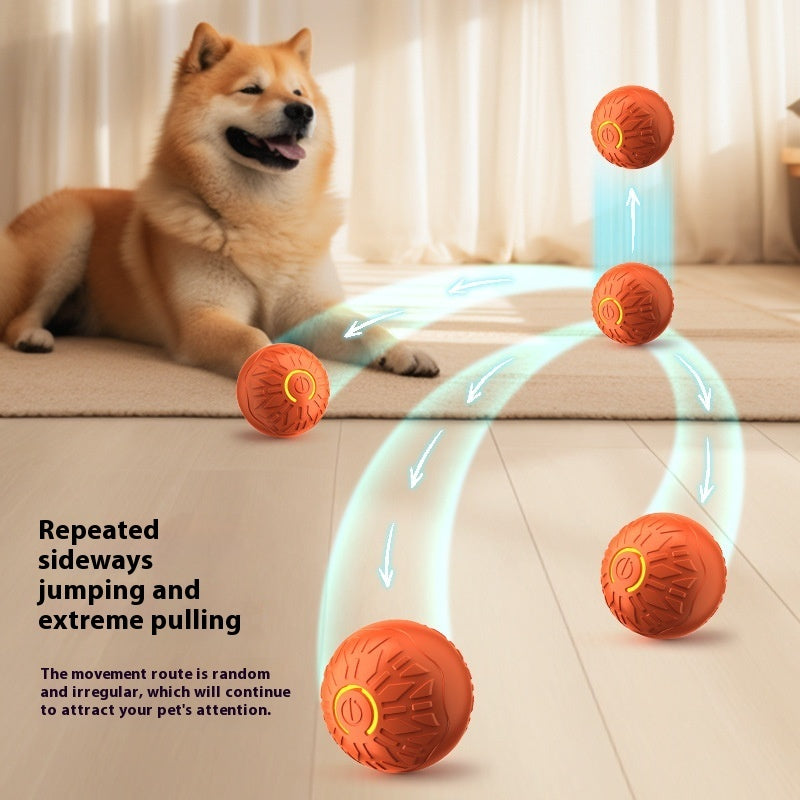 EliteActive™ | Self-Moving Dog Teasing Ball - Durable Glowing Training Toy