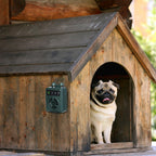 EliteSerene™ | Long-Range 4-Level Bark Control Device