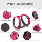 AuraGuard™ Active-Harness | Ergonomic Vest-Style Leash Set – Breathable High-Control Gear for Dogs & Puppies