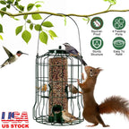 EliteSong™ | Heavy-Duty Outdoor Wild Bird Feeder - Iron-Clad Protection for Songbirds