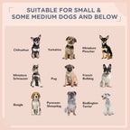 EliteCabana™ | Designer Outdoor Dog Daybed - Water-Resistant Rattan Sanctuary for Small & Medium Pets