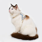 EliteSafe™ | Escape-Proof Mesh Harness - All-Day Comfort Walking Set with Heavy-Duty Leash