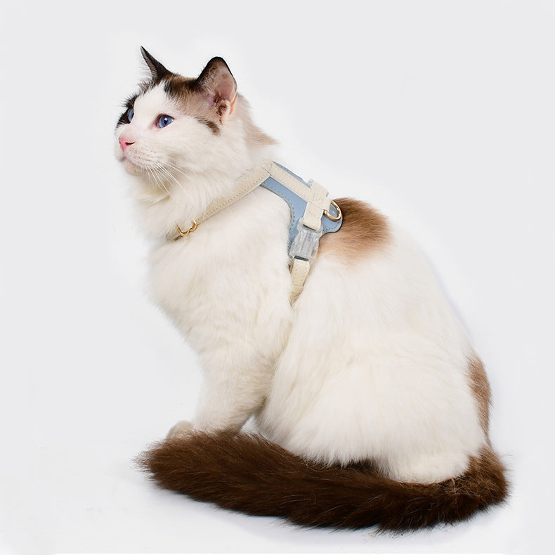 EliteSafe™ | Escape-Proof Mesh Harness - All-Day Comfort Walking Set with Heavy-Duty Leash