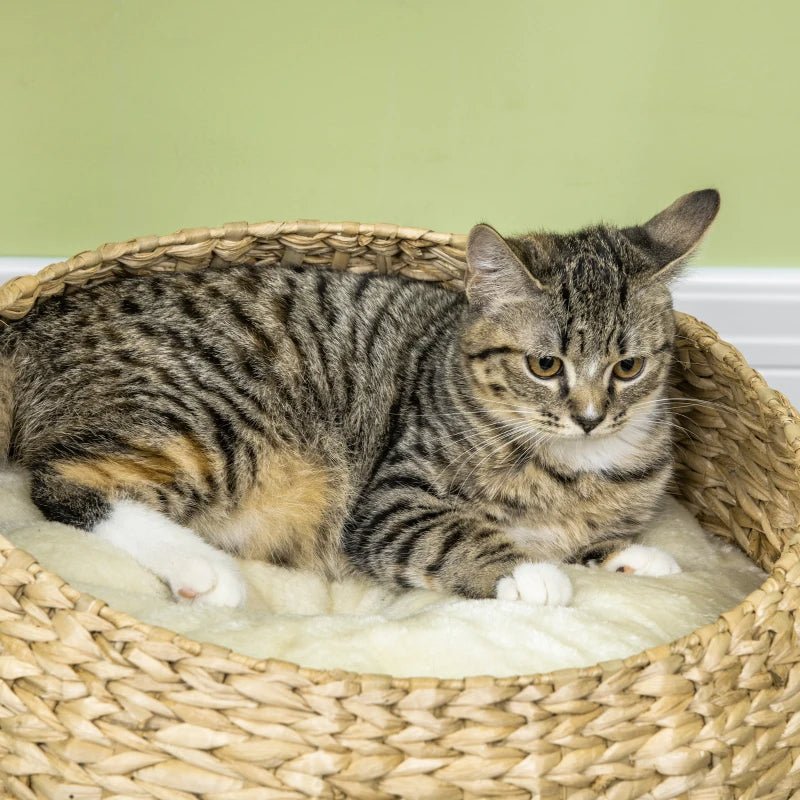 Elevated Cat Bed With Sisal Scratching Post For Indoor Kitties, Modern Cat Tree With Cute Basket Design, Small Cat Tree With Ball Toy - Aura Pet Elite