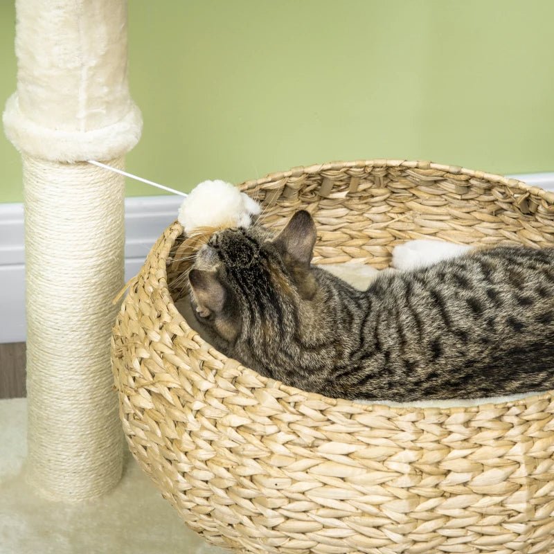 Elevated Cat Bed With Sisal Scratching Post For Indoor Kitties, Modern Cat Tree With Cute Basket Design, Small Cat Tree With Ball Toy - Aura Pet Elite