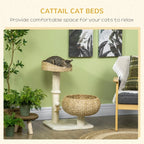 Elevated Cat Bed With Sisal Scratching Post For Indoor Kitties, Modern Cat Tree With Cute Basket Design, Small Cat Tree With Ball Toy - Aura Pet Elite