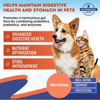 EliteBiome™ | Complete Gut Health Supplement for Dogs & Cats - Aura Pet Elite