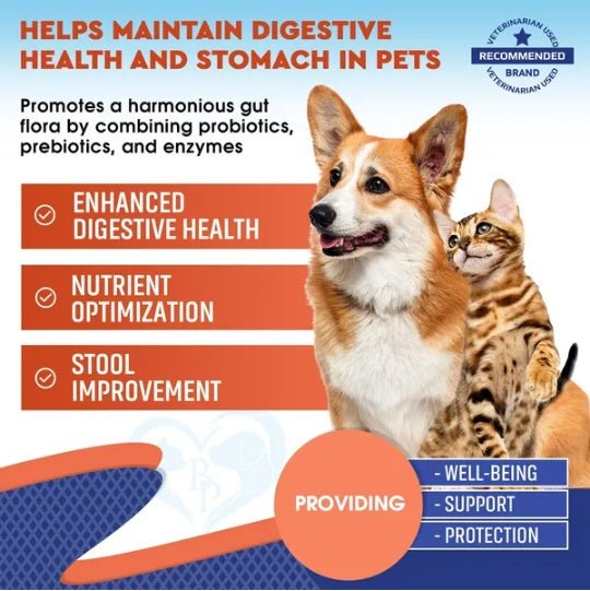 EliteBiome™ | Complete Gut Health Supplement for Dogs & Cats - Aura Pet Elite