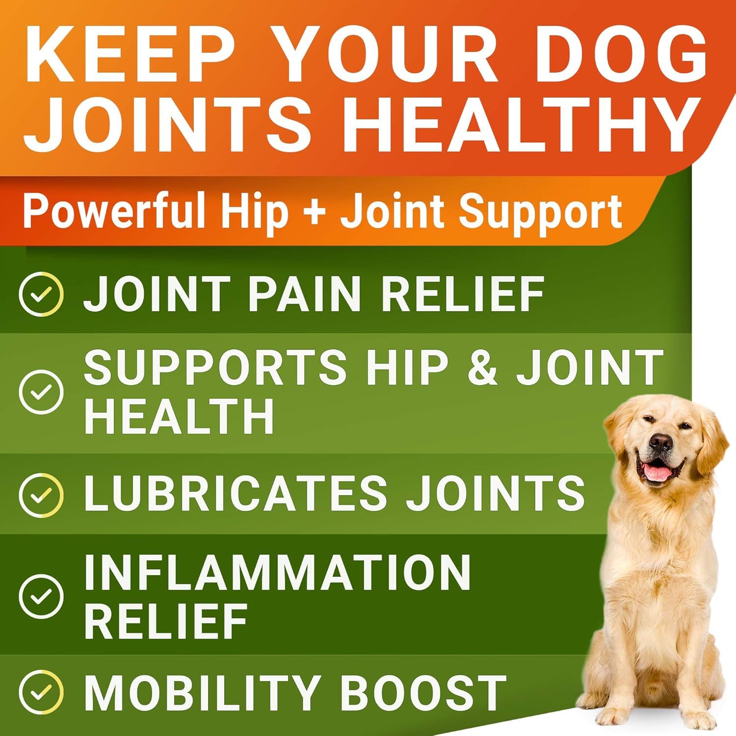 EliteMotion™ | 120ct Pro - Strength Joint & Bone Recovery Chews - Aura Pet Elite