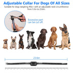 EliteOrbit™ | Invisible Wireless Containment System for All Dogs - Aura Pet Elite